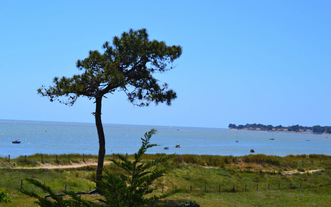 Pourquoi choisir un camping sans mobil-home ?